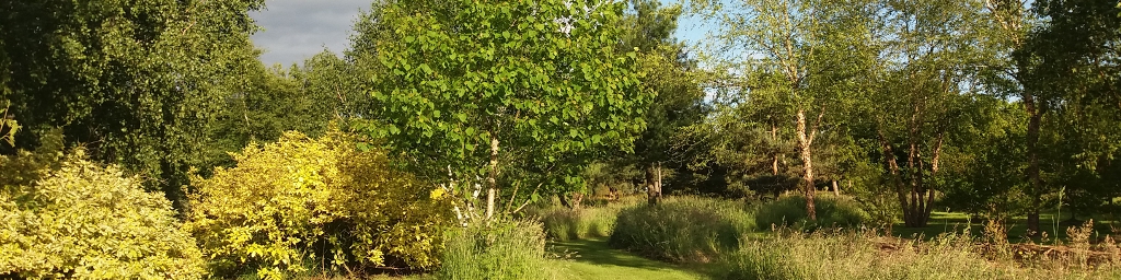 Espèces d'oiseaux de milieux arborés et haies hautes