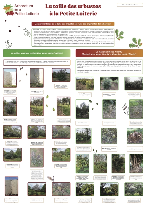 La taille des arbustes à la Petite Loiterie