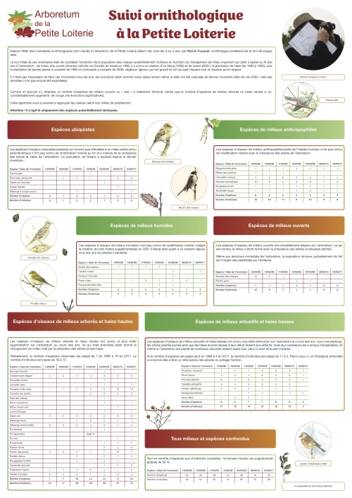 Suivi ornithologique à la Petite Loiterie